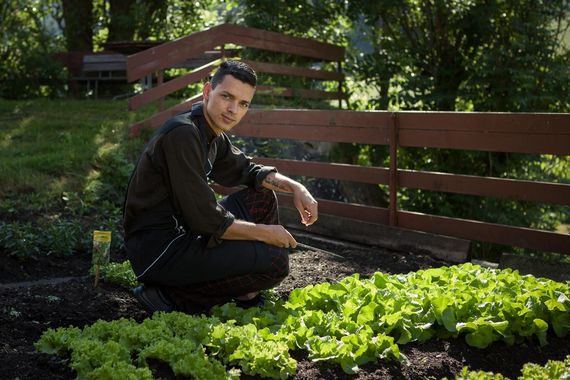 Südtirol am Teller: Unsere 100% Bio-Küche im Bühelwirt